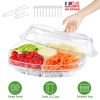 Perfect Fruit Ice Serving Tray with Lid and 4 Compartments