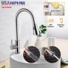 Single Handle Kitchen Sink Faucet, Brushed Nickel Stainless Steel, Pulldown Head w/Flexible Sprayer