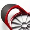 Stainless Steel Apple Slicer and Corer