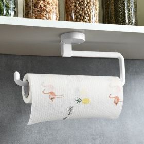 Wall-mounted PaperTowel Rack