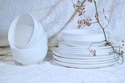 16 PCS Lily Bone China Dinnerware Set, Serves 4