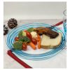 Set of 4 Designer Swirl 12"  Blue Acrylic Dinner Plates, Reusable