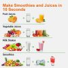 11-Piece Countertop Blender Grinder Combo