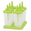6 Pcs Plastic Popsicle Maker