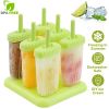6 Pcs Plastic Popsicle Maker