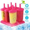 6 Pcs Plastic Popsicle Maker
